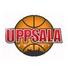 乌普萨拉 乌普萨拉